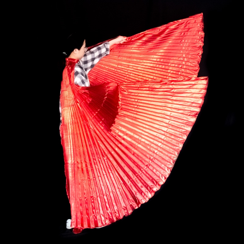 Ailes de danse du ventre pour  - Women Bags Egypt avis et prix